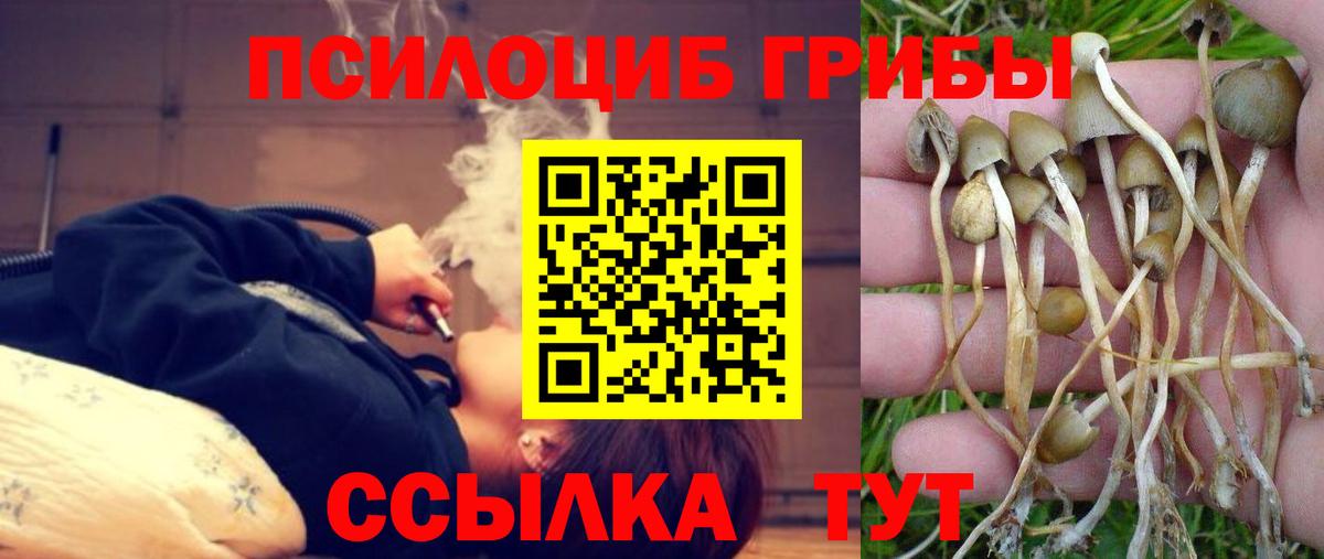 Псилоцибиновые грибы GOLDEN TEACHER Великий Новгород